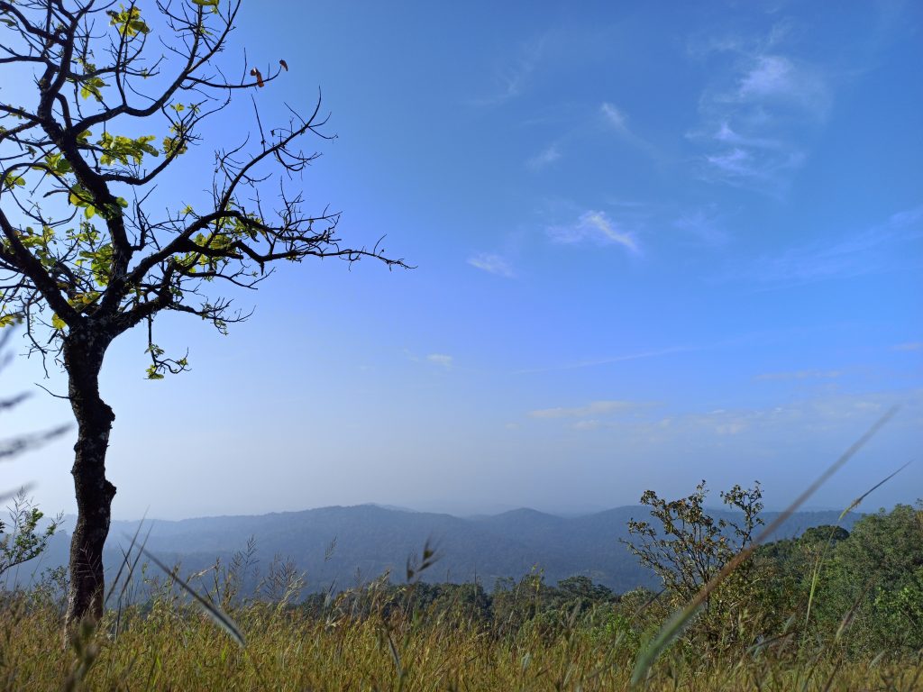 Trekking in Western GhatsShantivana Shantivana Homestay