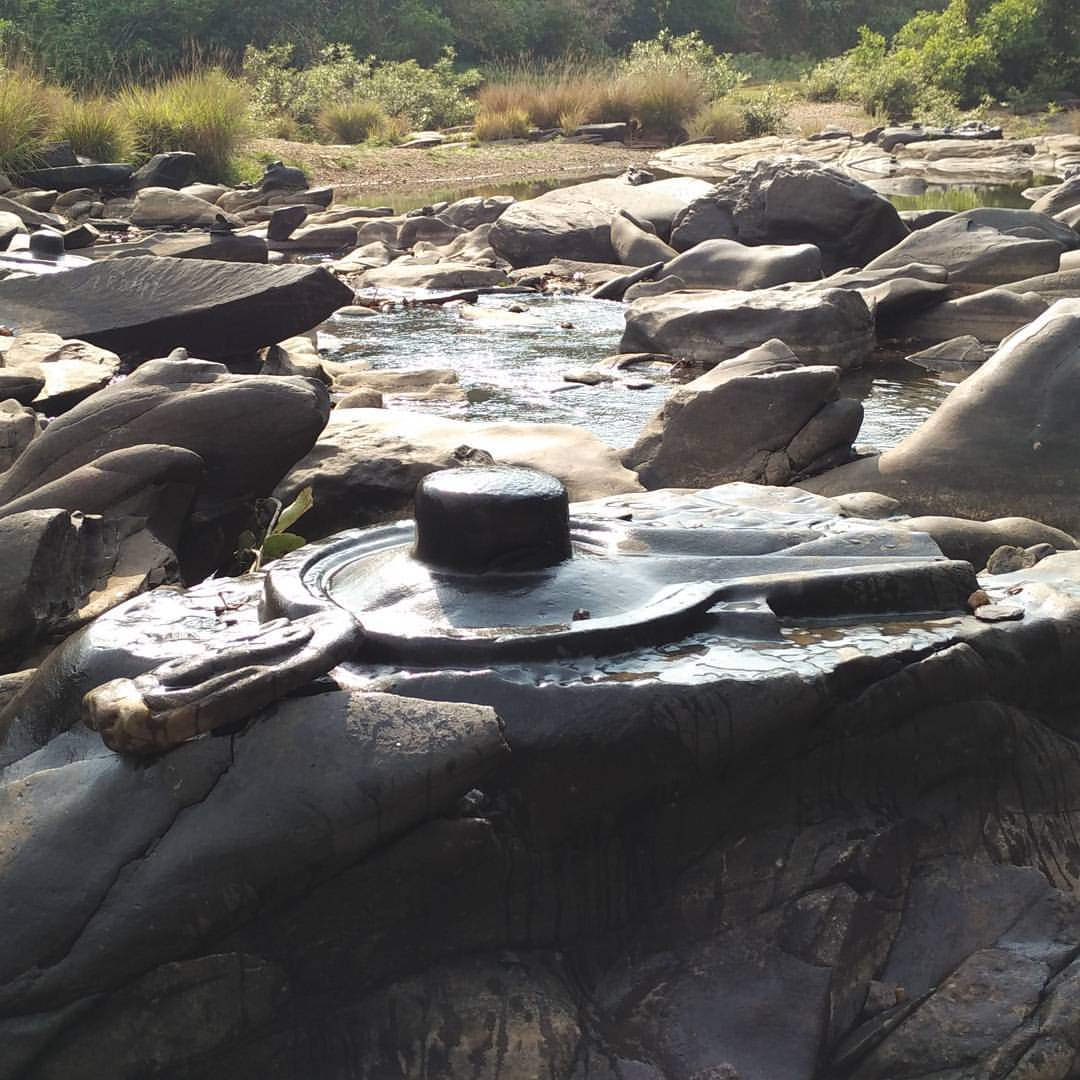 Gallery Shantivana Homestay